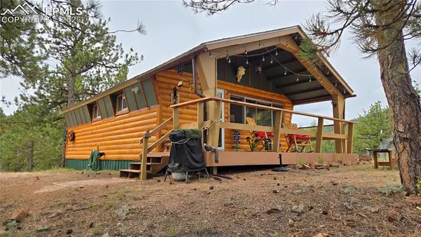 259 S Vermillion Road, Lake George, CO 80827