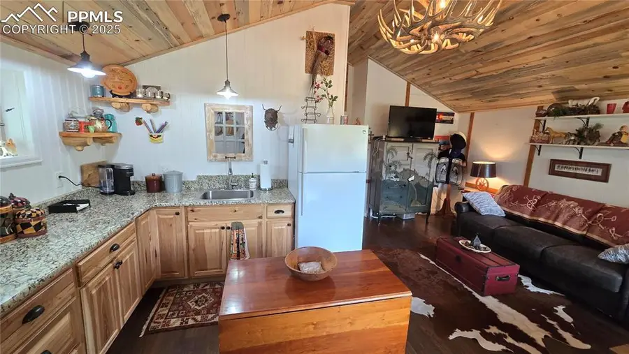 259 S Vermillion Road, Lake George, CO 80827 - #3