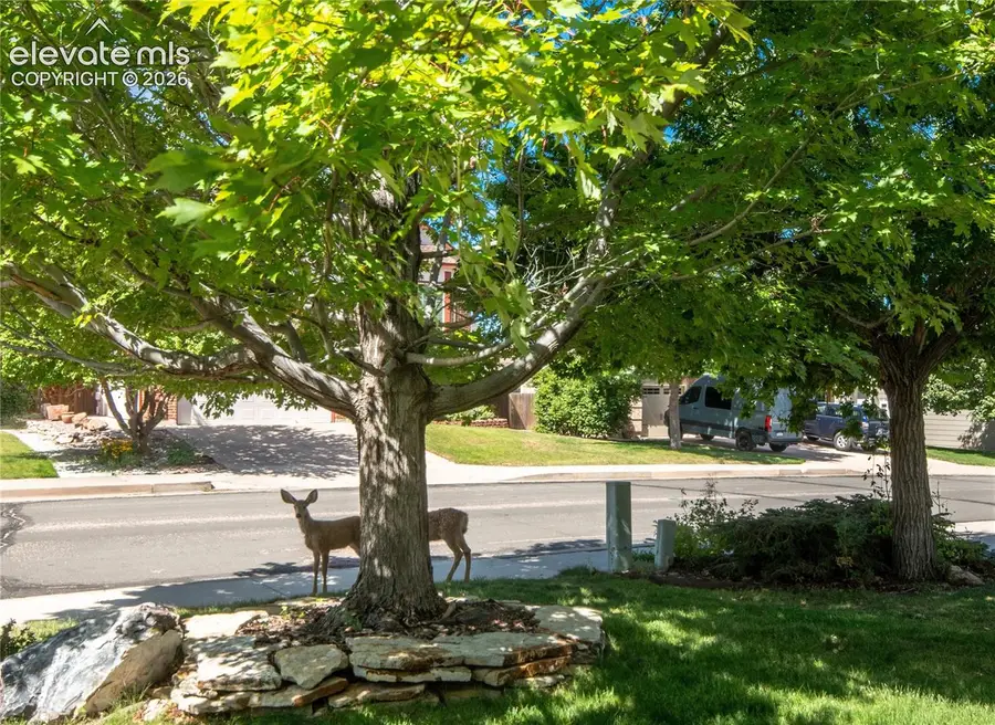 6151 Treeledge Drive, Colorado Springs, CO 80918 - #3