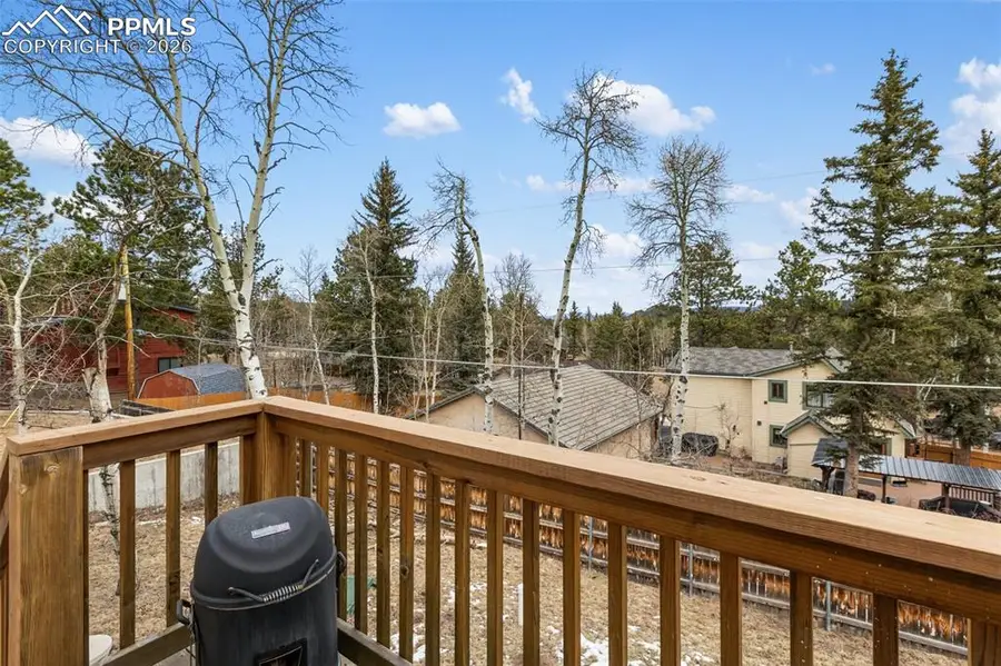 35 Illini Drive, Woodland Park, CO 80863 - Image #3