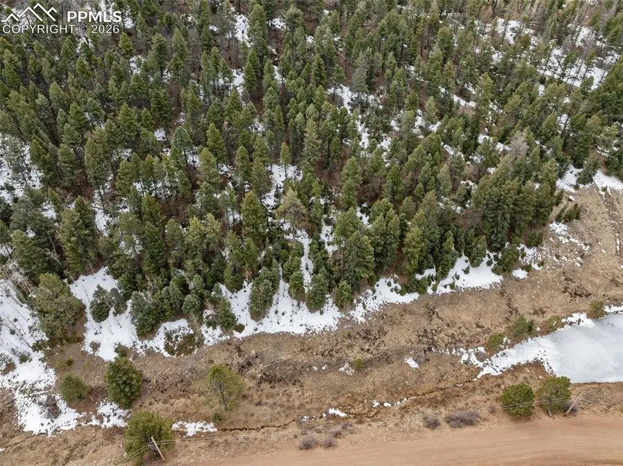 278 Penrose Circle, Cripple Creek, CO 80813 - #2