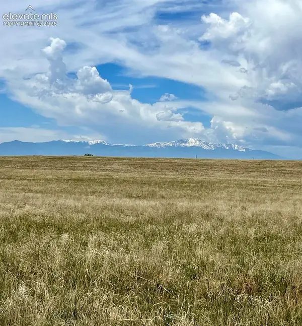 6710 Cowboy Ranch View, Peyton, CO 80831