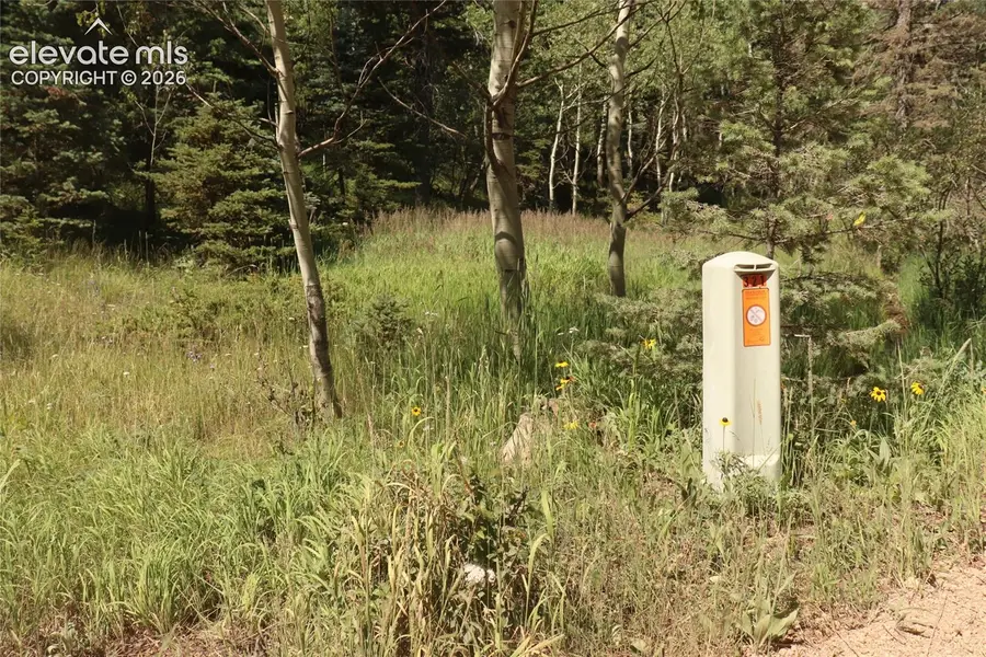286 Coffee Road, Manitou Springs, CO 80829 - #2