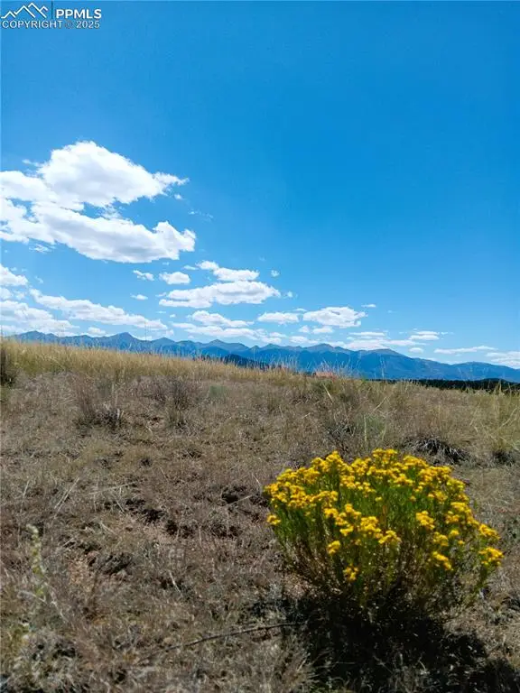 567 Trails End Court, Cotopaxi, CO 81223 - Image #3