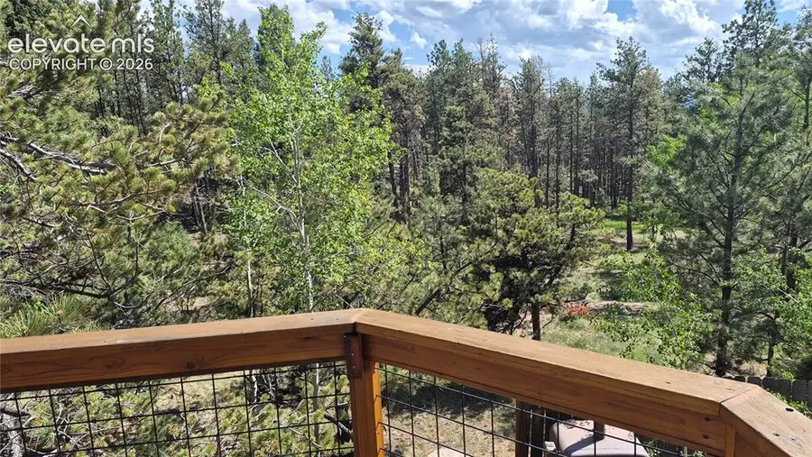 276 Oxford Place, Florissant, CO 80816 - #2