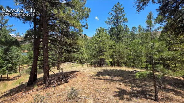 15394 Westcreek Road, Woodland Park, CO 80863