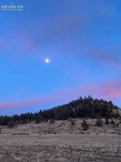 14012 Chickasaw Road, Hartsel, CO 80449 - #2