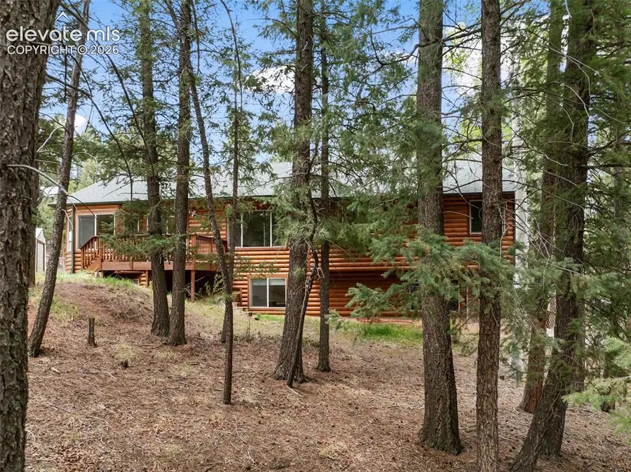 1233 Spruce Ridge Lane, Woodland Park, CO 80863 - #3
