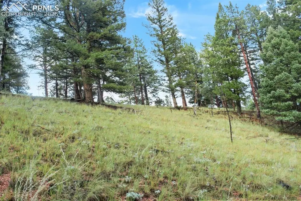 131 Lost Lake Circle, Divide, CO 80814 - #1