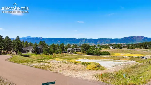 17223 Copper Valley Court, Monument, CO 80132
