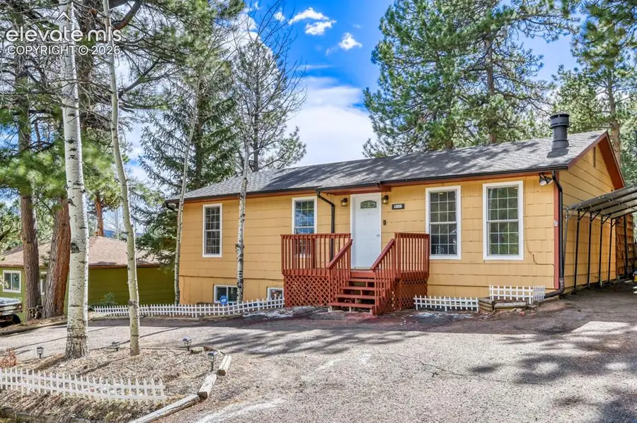 1005 W Browning Avenue, Woodland Park, CO 80863 - #3