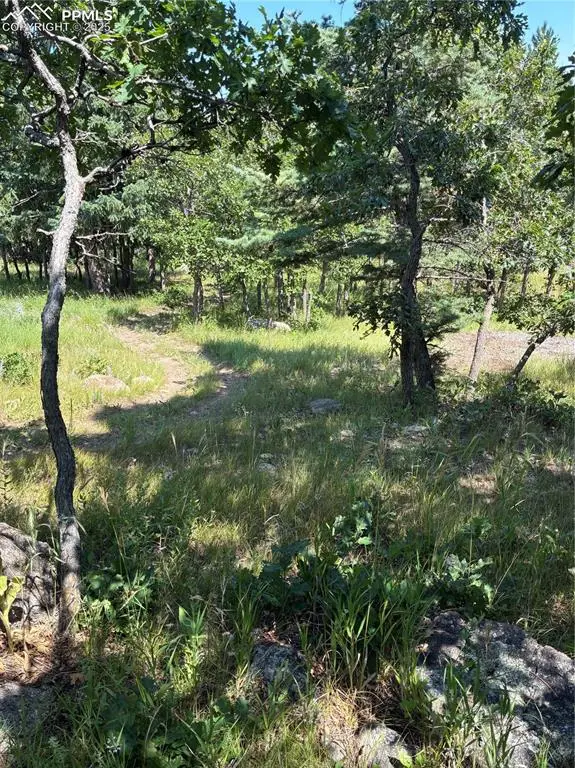 4875 Willow Stone Heights, Colorado Springs, CO 80906