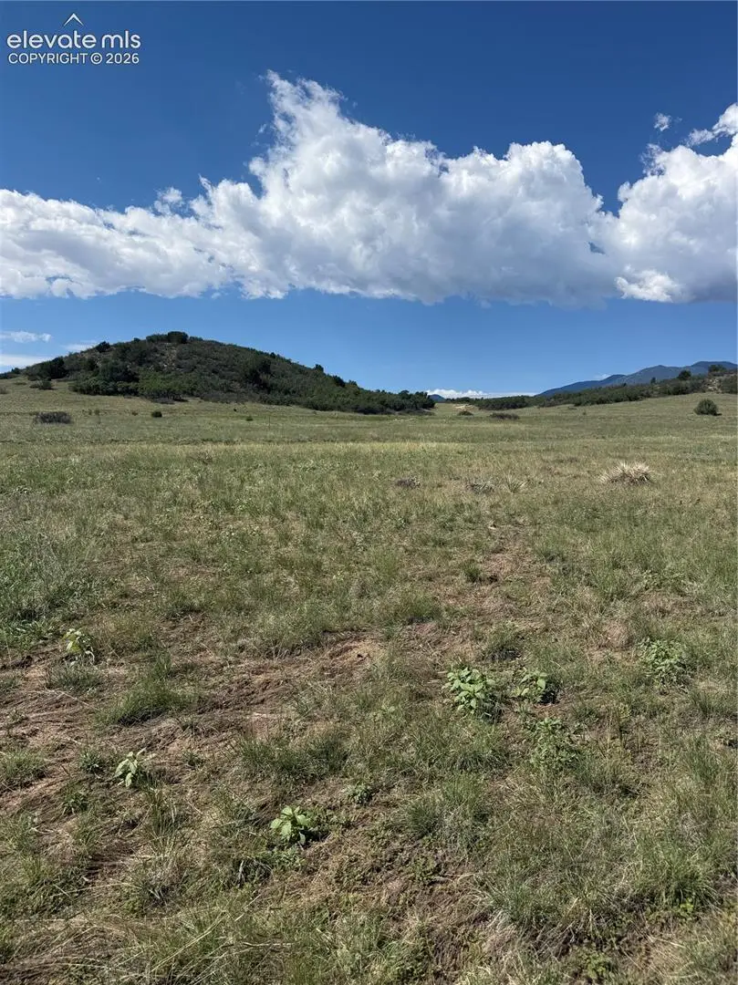 Emrich Park Way, Colorado City, CO 81019 - #3