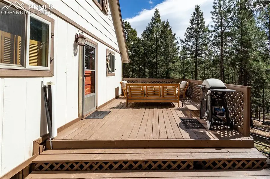 161 Summer Haven Drive, Woodland Park, CO 80863 - #3
