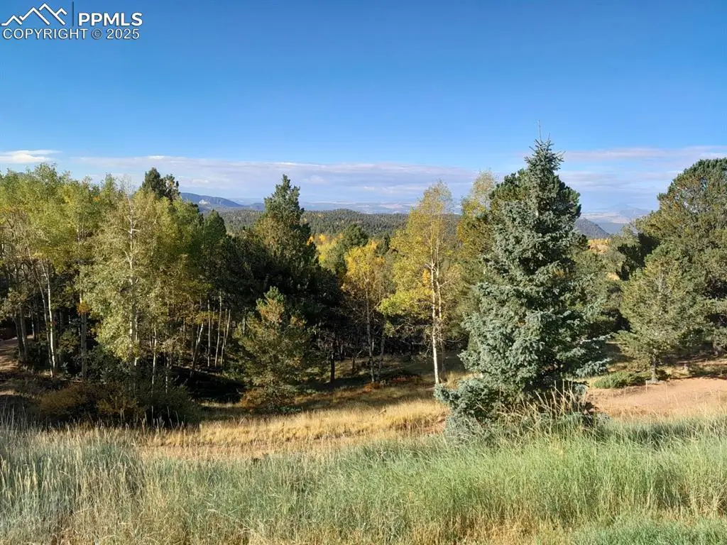 578 Crystal Drive, Cripple Creek, CO 80813 - #1