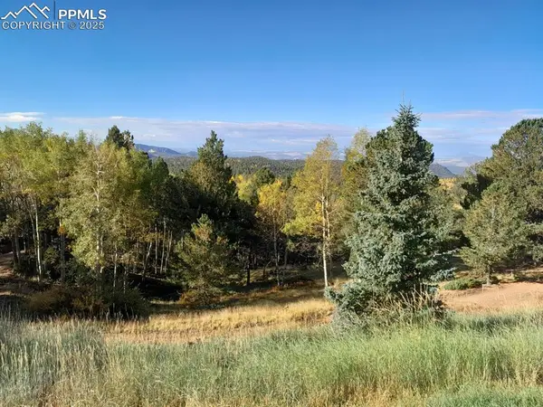 578 Crystal Drive, Cripple Creek, CO 80813