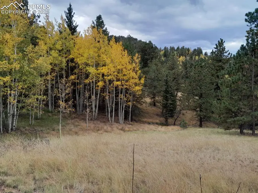 578 Crystal Drive, Cripple Creek, CO 80813 - #2