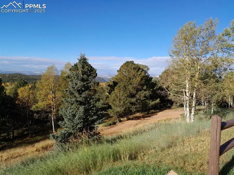 578 Crystal Drive, Cripple Creek, CO 80813 - #3