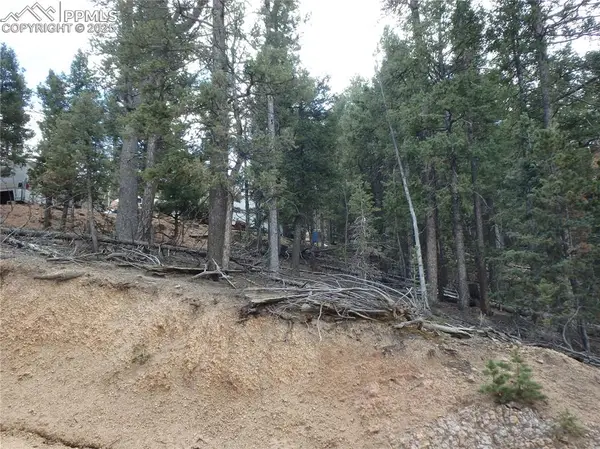 620 Wakanda Trail, Woodland Park, CO 80863