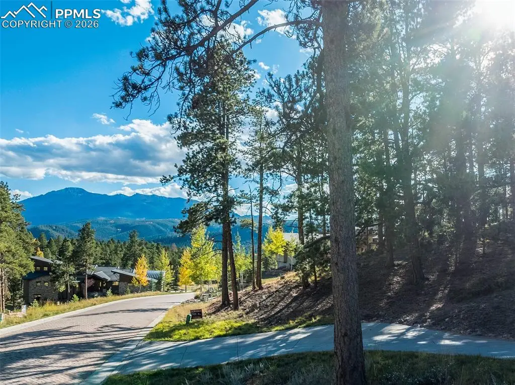 270 Thunder Ridge Drive, Woodland Park, CO 80863 - #1