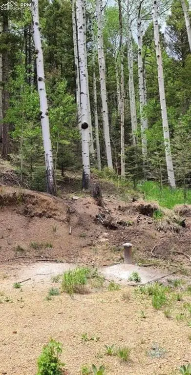 620 Steep Road, Manitou Springs, CO 80829 - Image #2