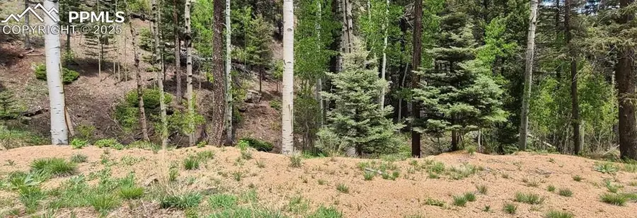 620 Steep Road, Manitou Springs, CO 80829 - Image #3