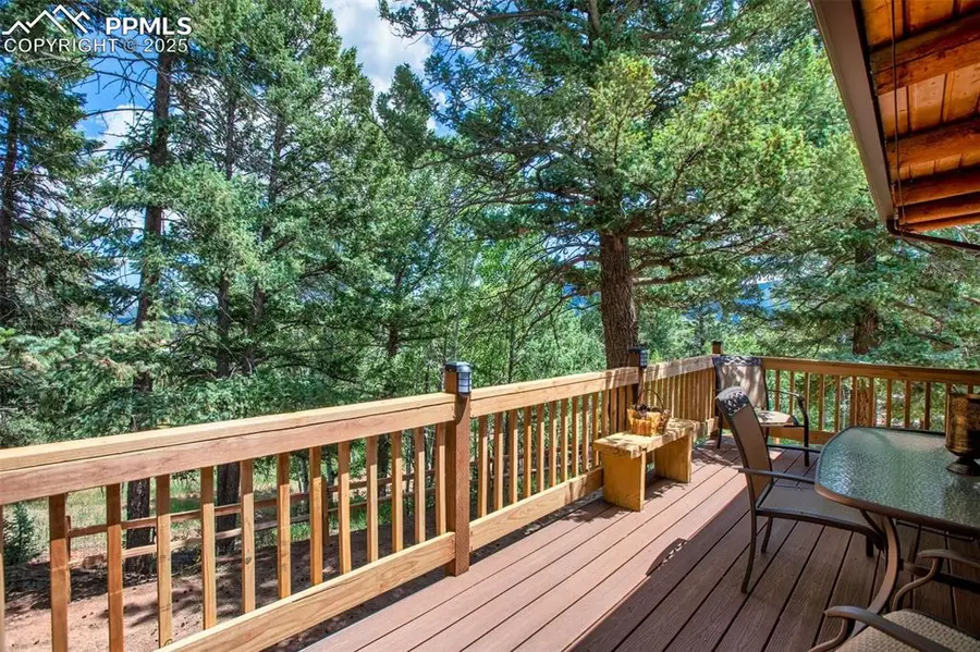 101 S Burdette Street, Woodland Park, CO 80863 - Image #3