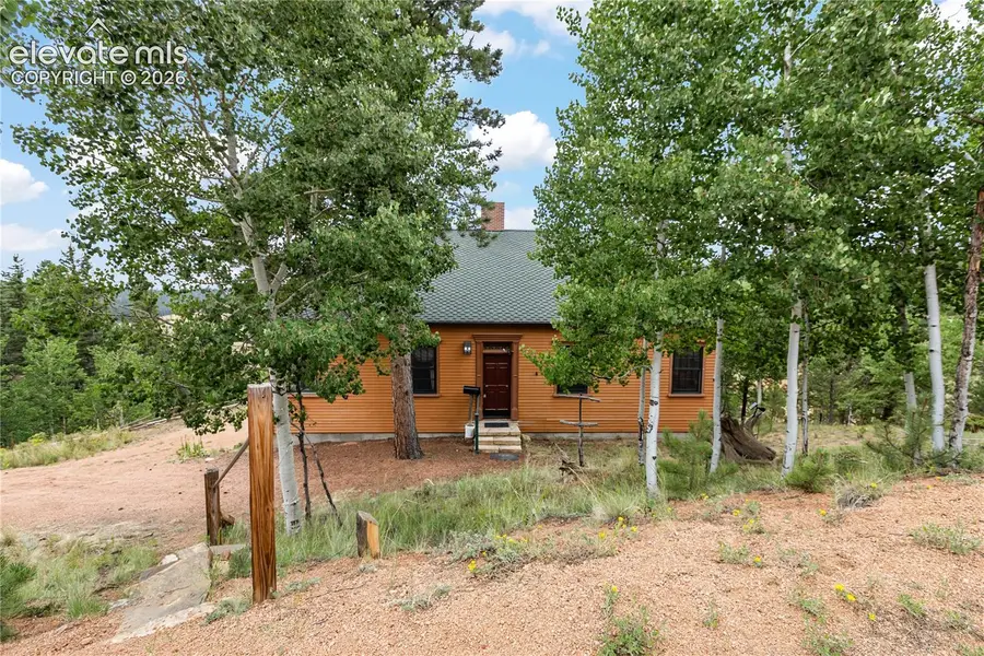 289 Cottonwood Lake Drive, Divide, CO 80814 - #3