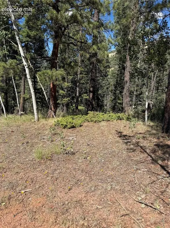 1007 Derby Drive, Cripple Creek, CO 80813