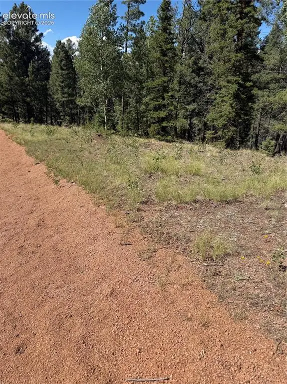 1007 Derby Drive, Cripple Creek, CO 80813 - #3