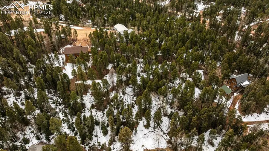 43 Dusti Circle, Florissant, CO 80816 - #3