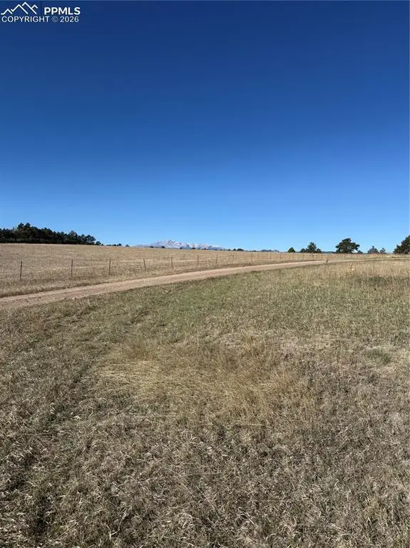 4553 Stewart Ranch Court, Colorado Springs, CO 80908