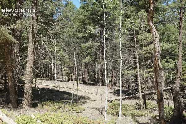 616 Indian Creek Road, Florissant, CO 80816