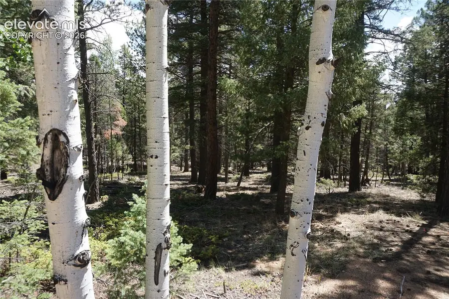 616 Indian Creek Road, Florissant, CO 80816 - #2