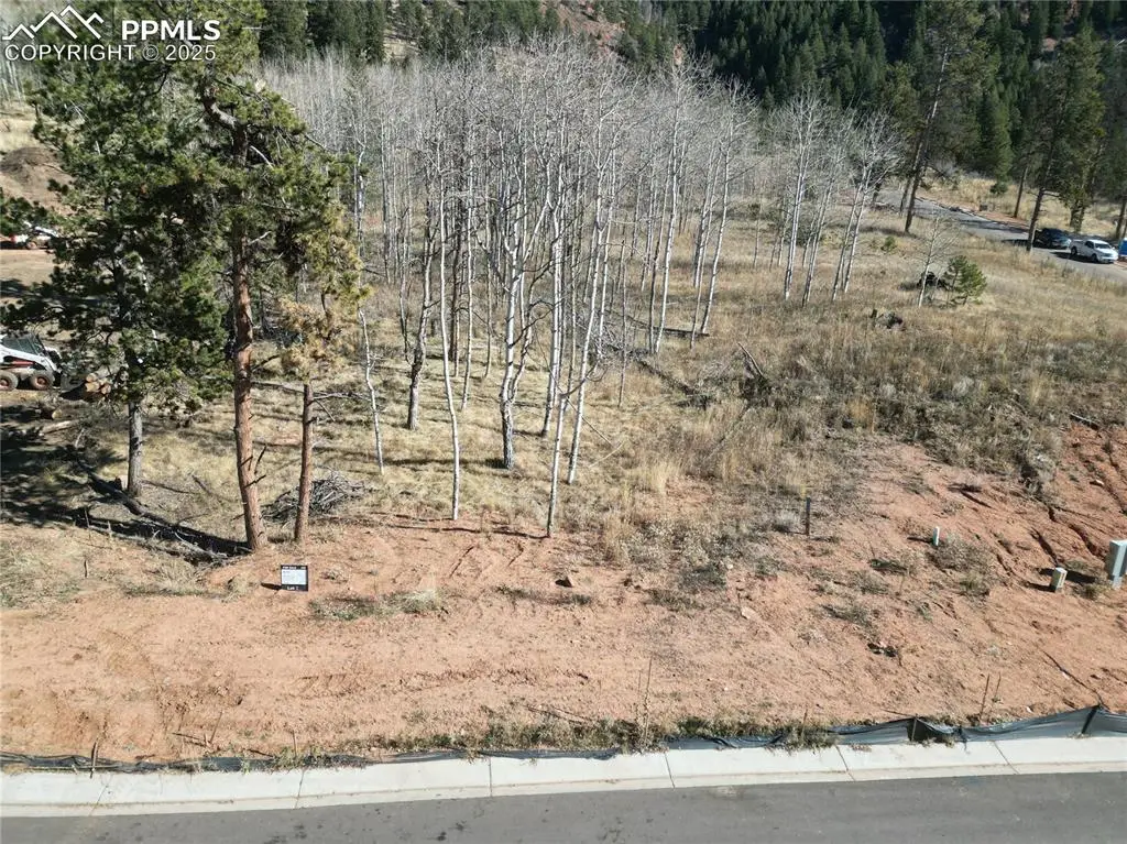 1415 Red Haven Place, Woodland Park, CO 80863 - Image #1