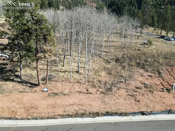 1415 Red Haven Place, Woodland Park, CO 80863
