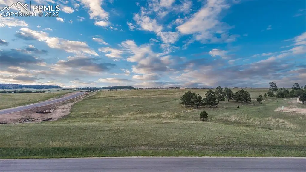 11516 Bison Meadows Court, Colorado Springs, CO 80908 - #1