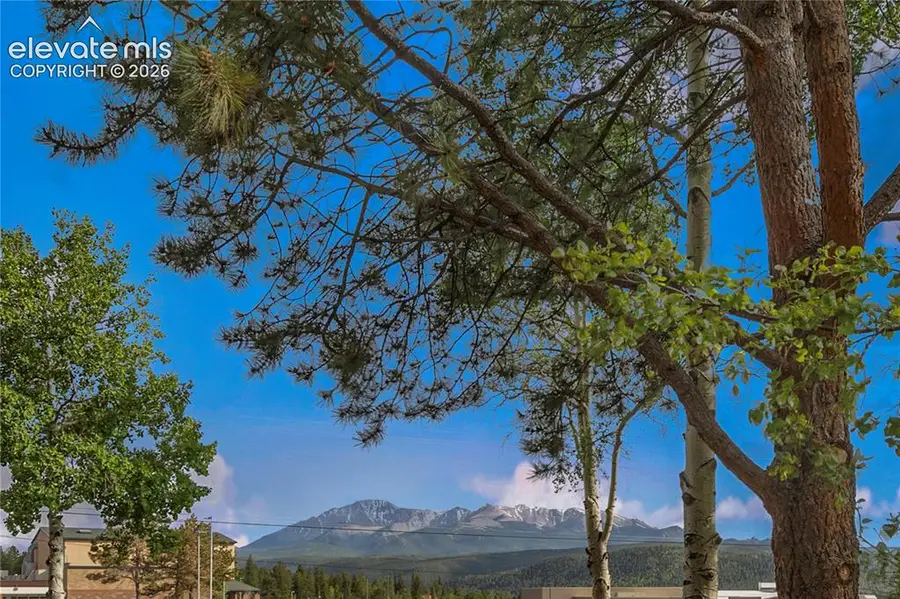 401 Forest Edge Road #A5, Woodland Park, CO 80863 - #3