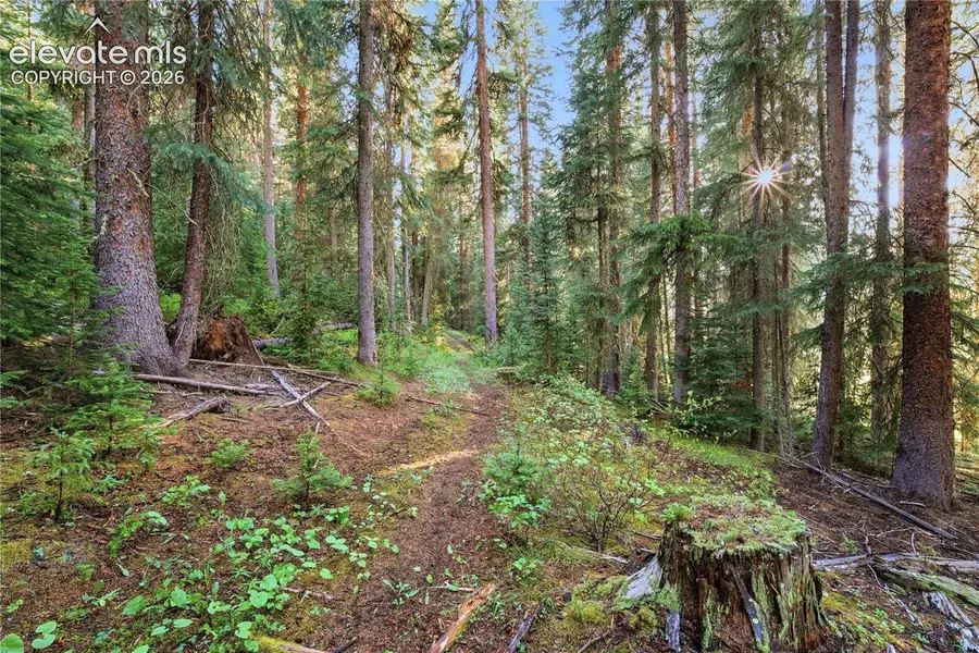 Woods Na, Eagle, CO 81631 - #2