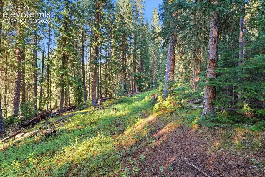 Woods Na, Eagle, CO 81631 - #3