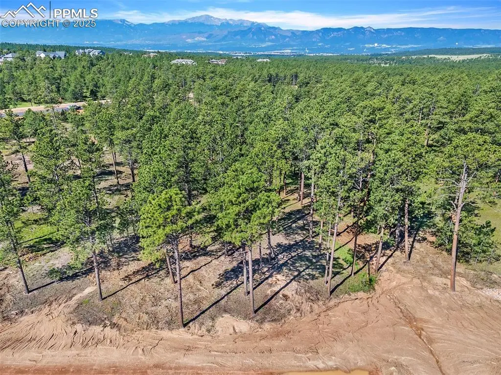 14532 Quartz Creek Road, Colorado Springs, CO 80908 - Image #1