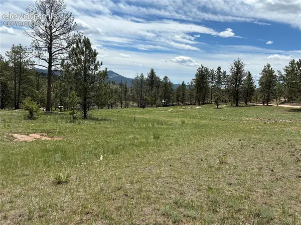 266 Chapparal Trail, Florissant, CO 80816