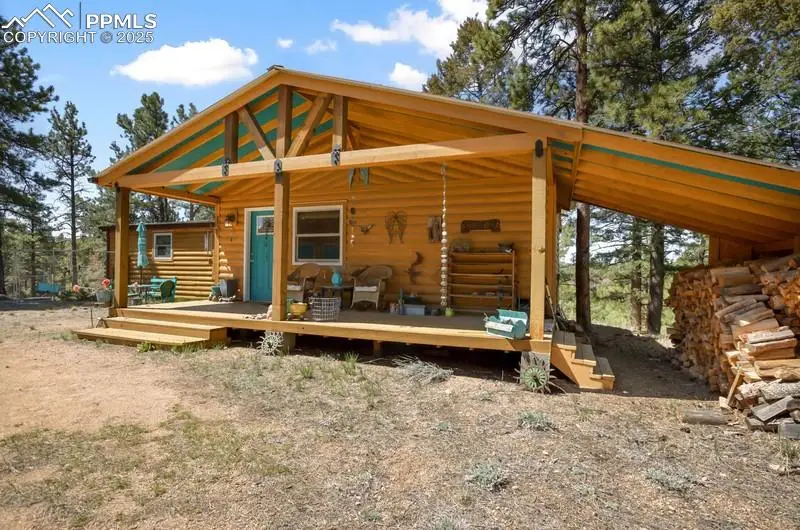 258 Shavano Creek Trail, Florissant, CO 80816 - Image #2