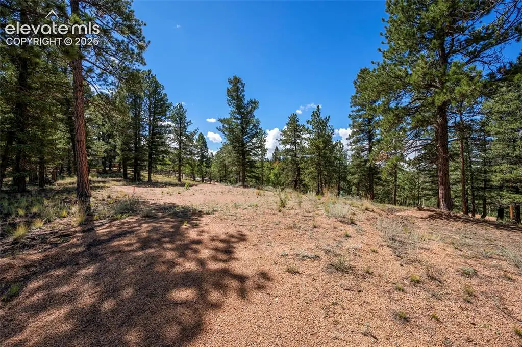 210 Donzi Trail, Florissant, CO 80816 - #1