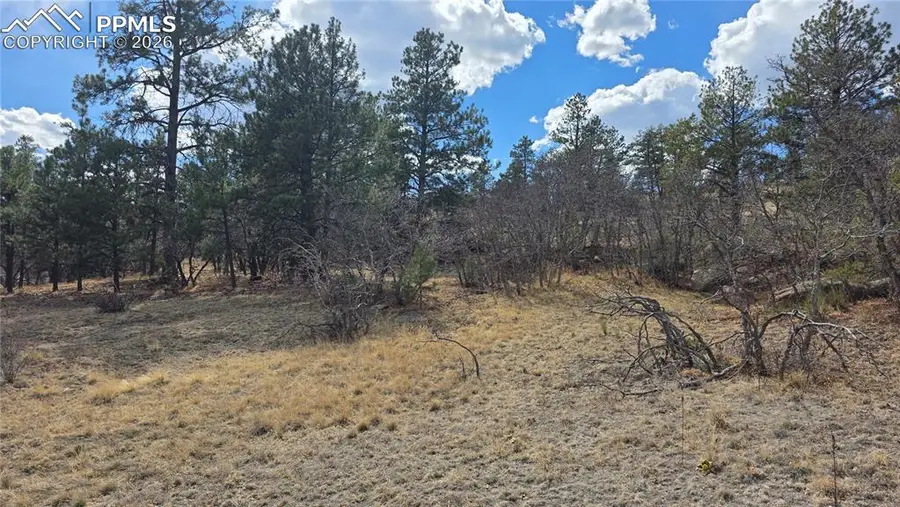 2002 Comanche Circle, Florissant, CO 80816 - #3