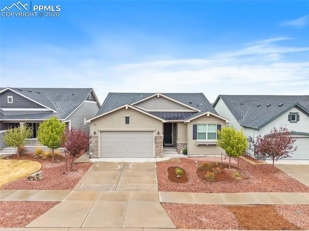 7095 Fauna Glen Drive, Colorado Springs, CO 80927 - #1