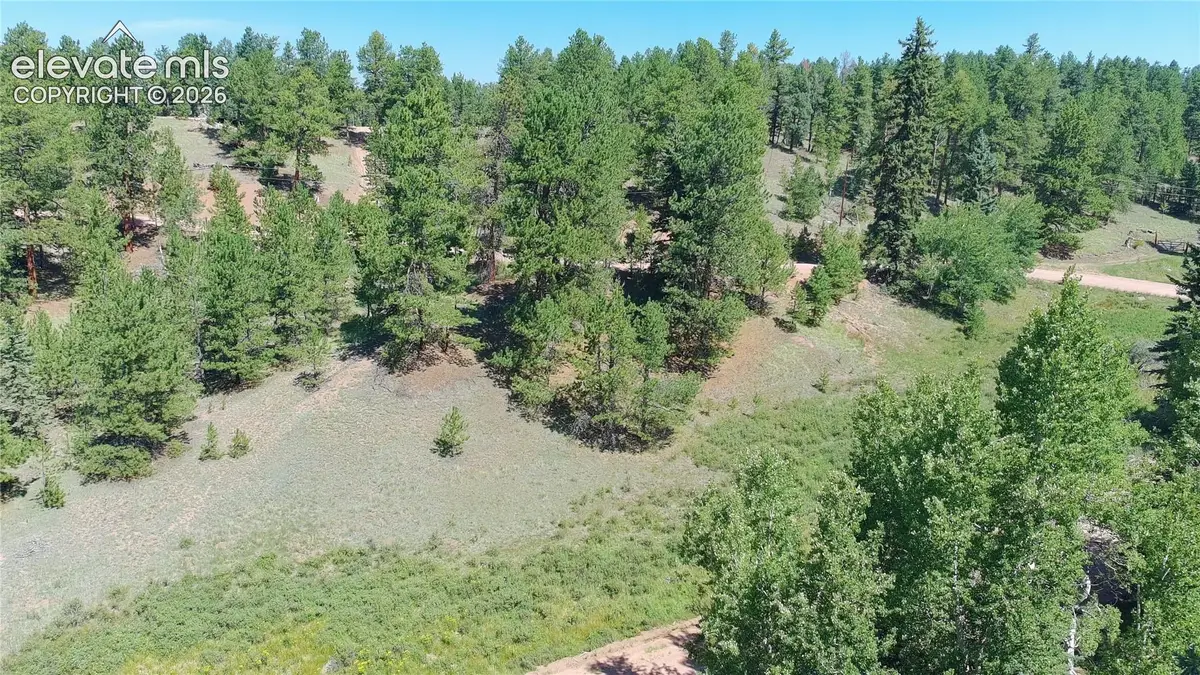 719 Spring Valley Lane, Florissant, CO 80816 - #1
