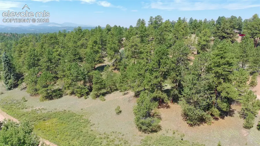 719 Spring Valley Lane, Florissant, CO 80816 - #2