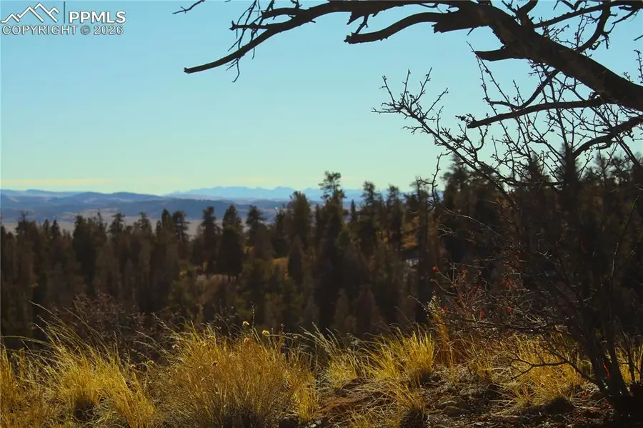 3632 Clear Creek Road, Hartsel, CO 80449 - Image #3