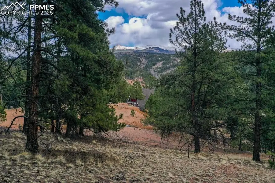 102 Blue Bell Circle, Cripple Creek, CO 80813 - Image #2